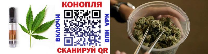 купить   Старая Русса  Cannafood конопля 