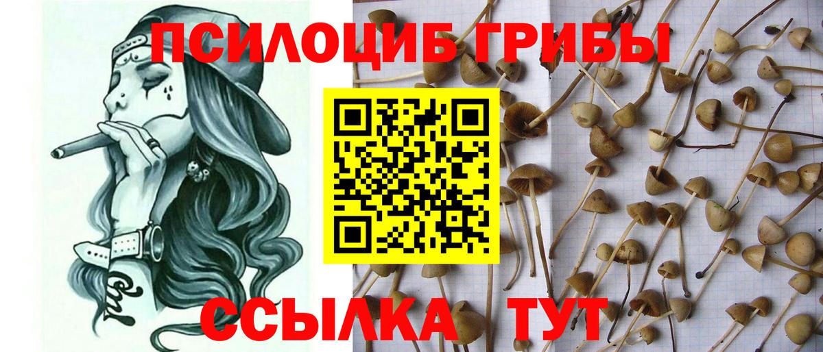 Марихуана Старая Русса