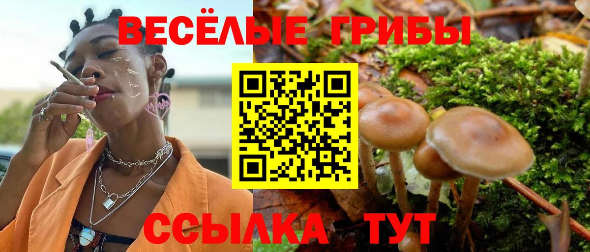 Псилоцибиновые грибы мицелий  Вход с VPN  Старая Русса 