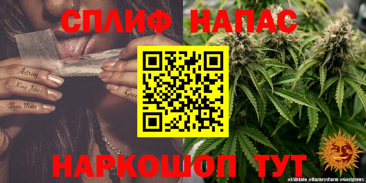 Канабис сатива Старая Русса